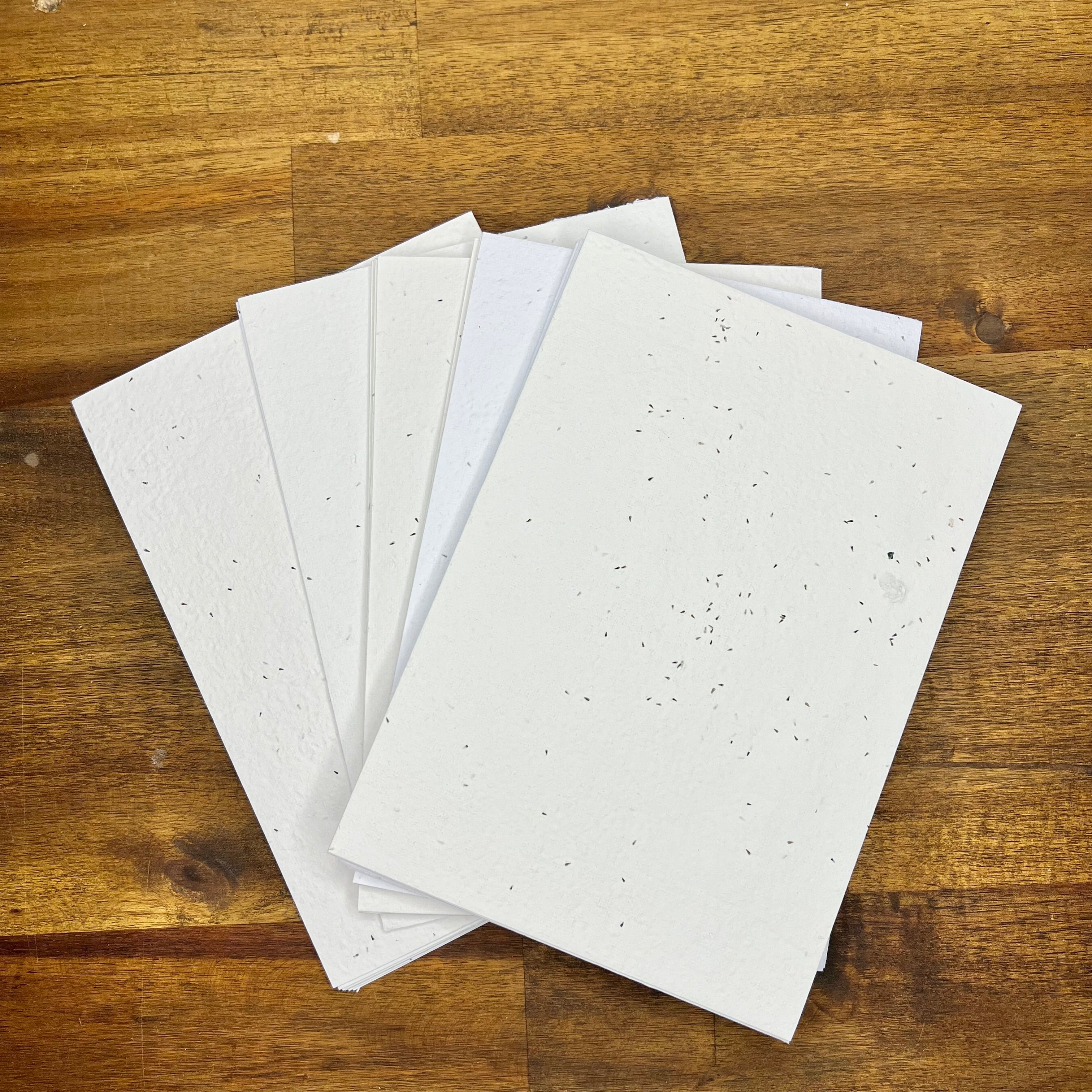 Blank Seeded Paper