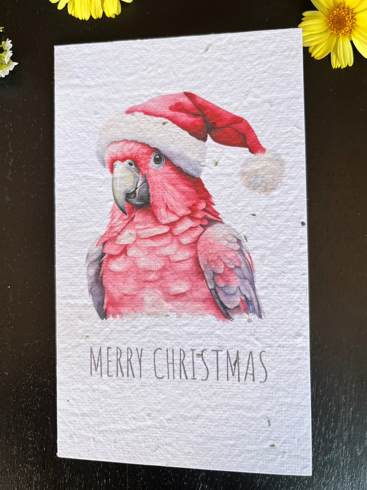 Christmas Designs
