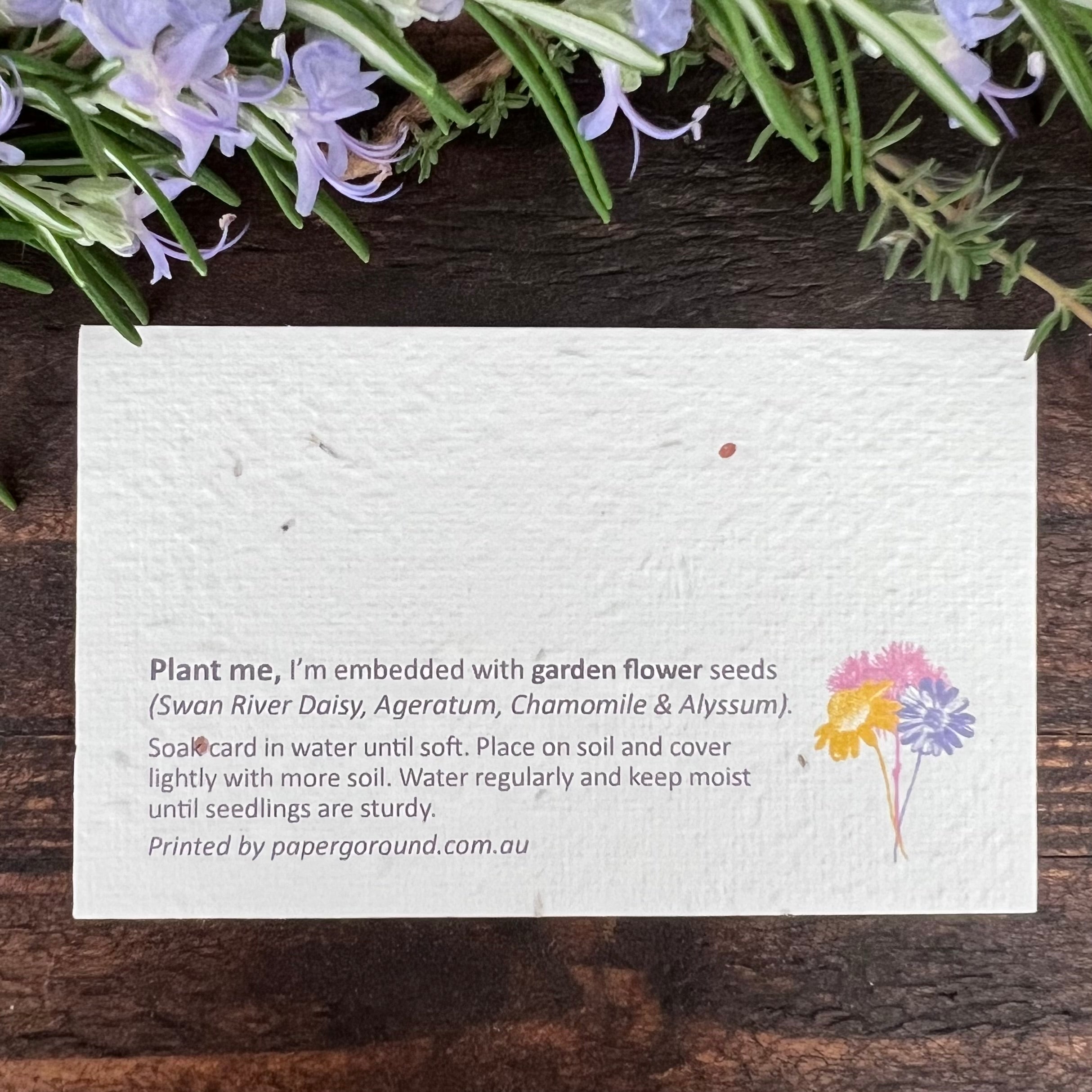 Promotional Plantable Business and Small Cards