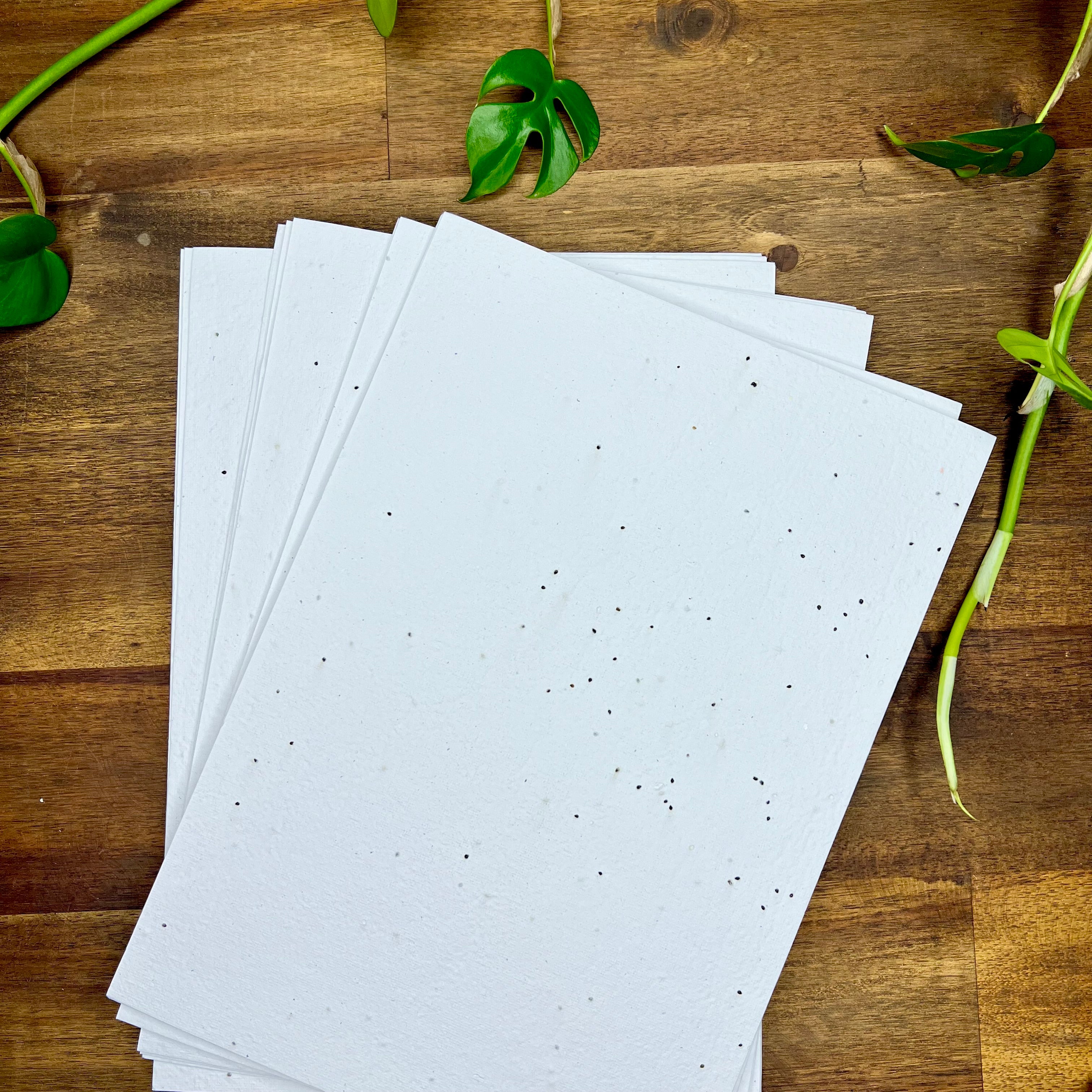Ceed Papper A4 Seed Paper – Paper Go Round