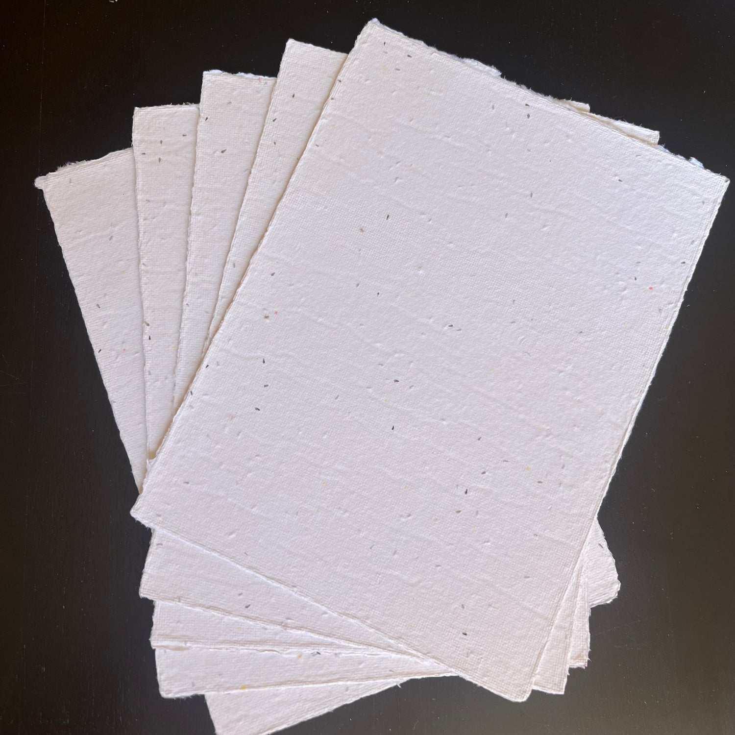 A5 Deckled Edge Hand made  Seed Paper 10 Pack