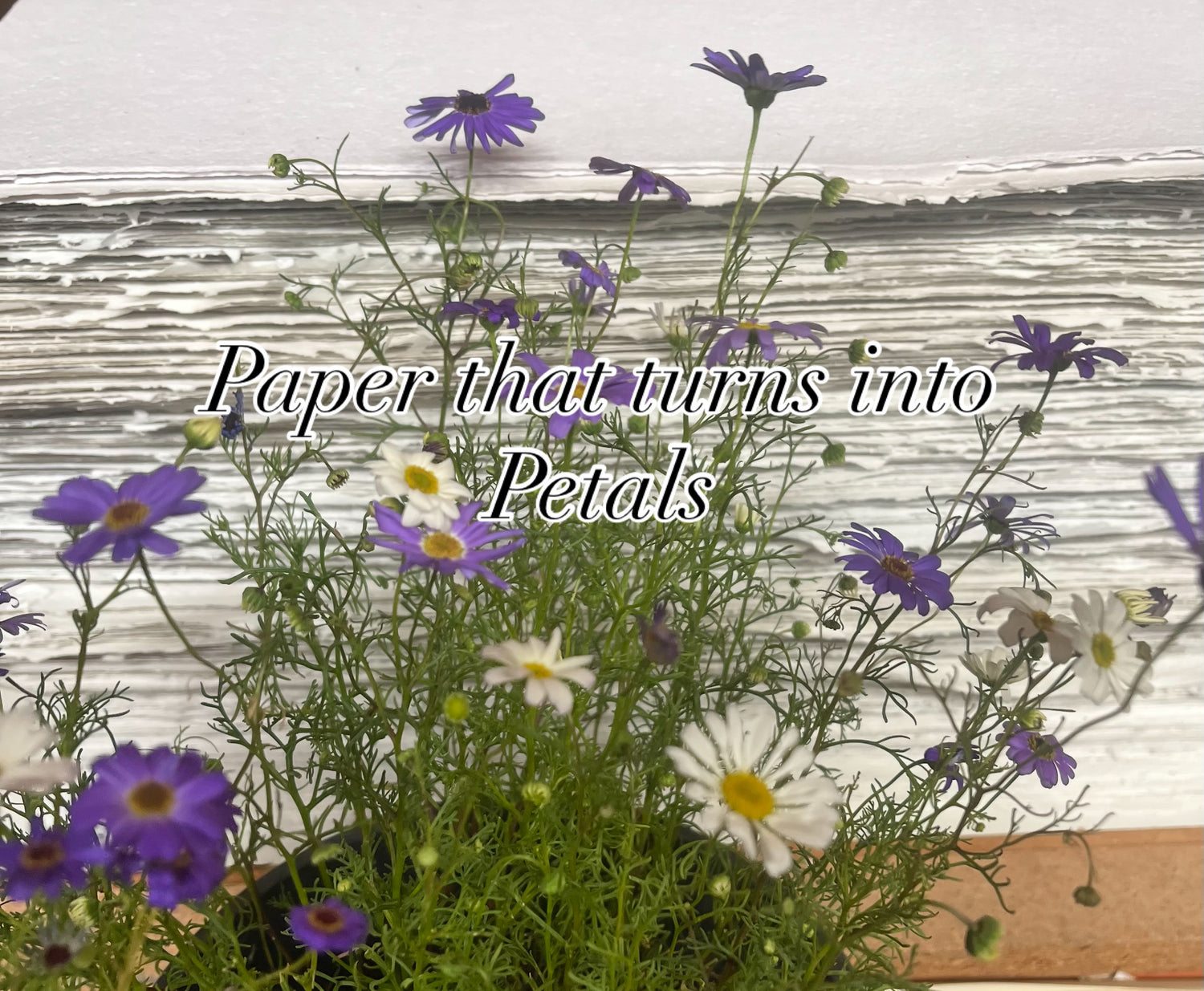 Plantable Business Card: Custom Print