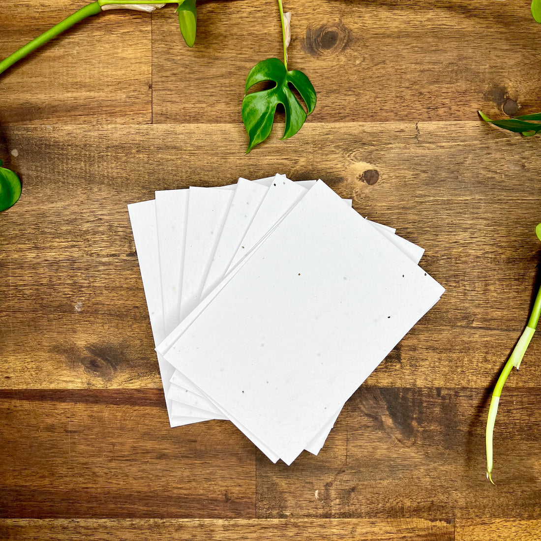 Seed Paper – Paper Go Round