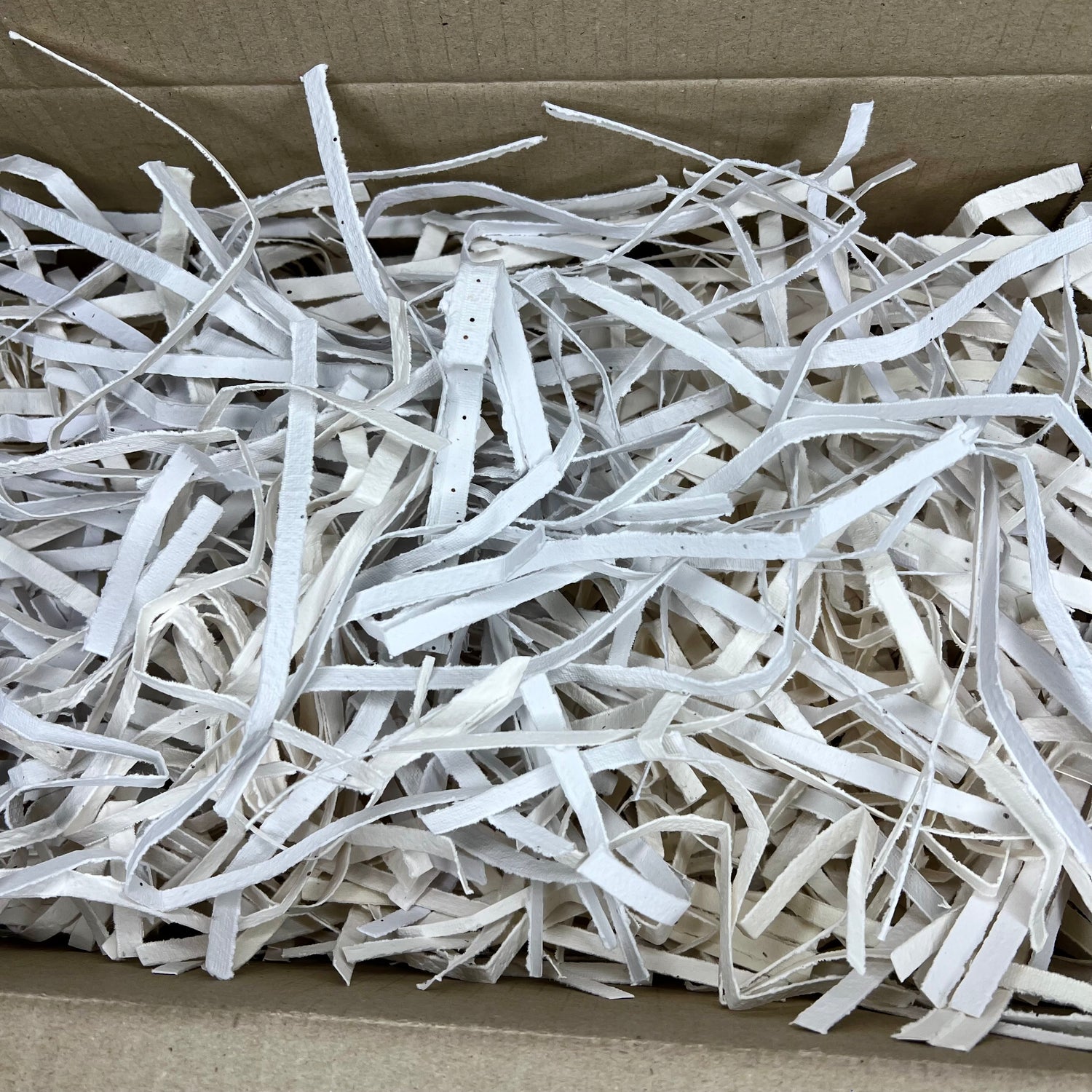 Shredded Seed Paper