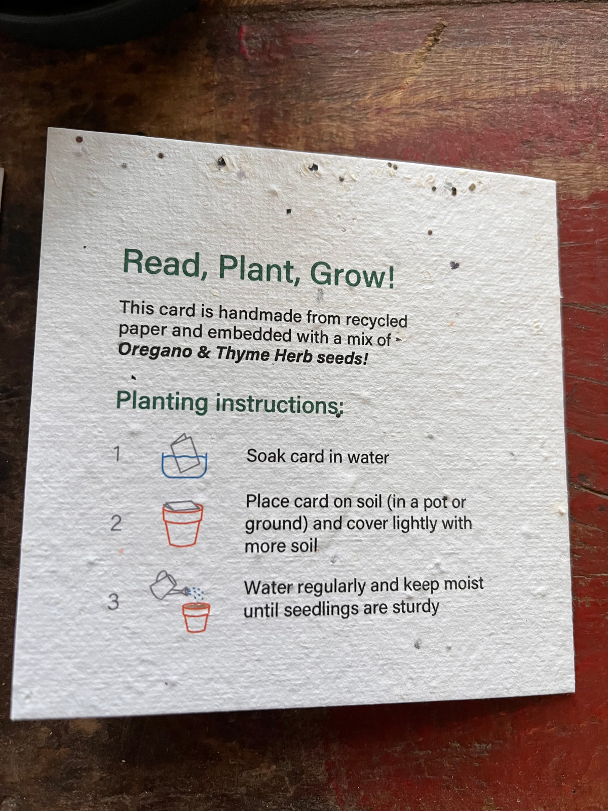 Father's Day Plantable Greeting Card + Stoneware Pot  Plant