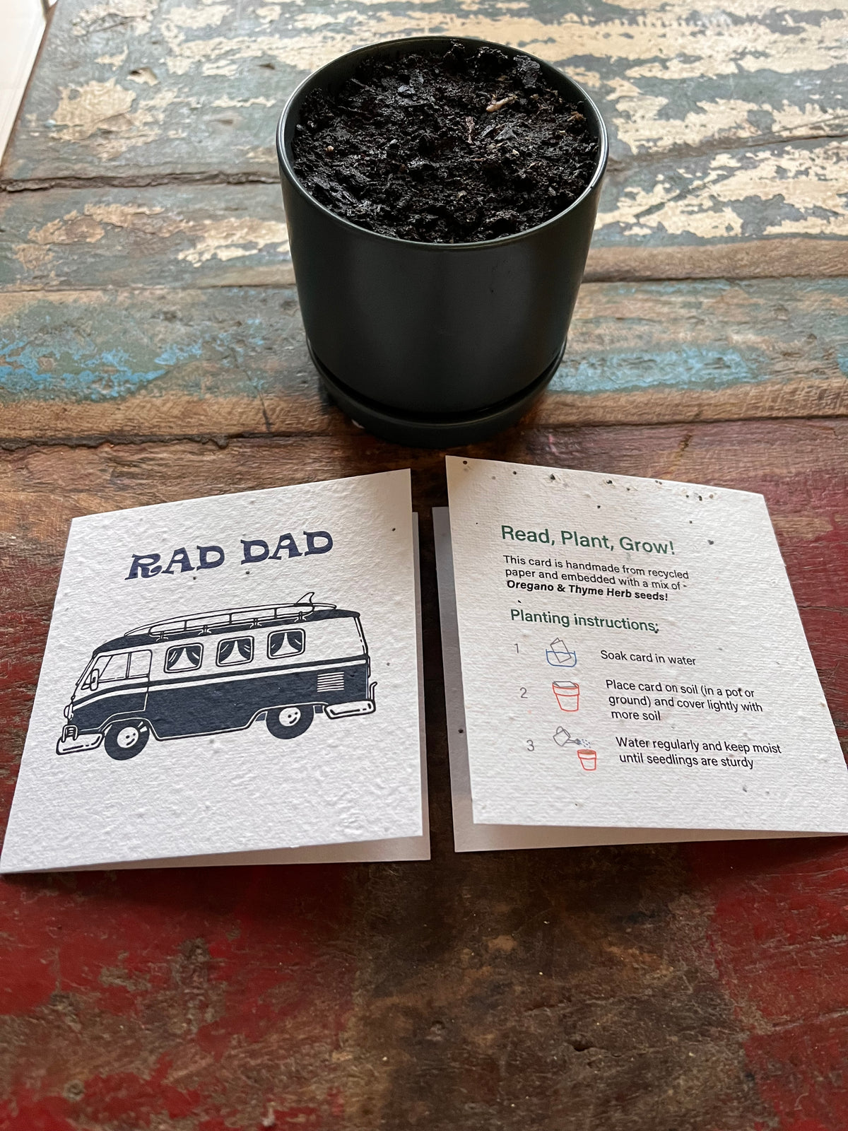 Father's Day Plantable Greeting Card + Stoneware Pot  Plant
