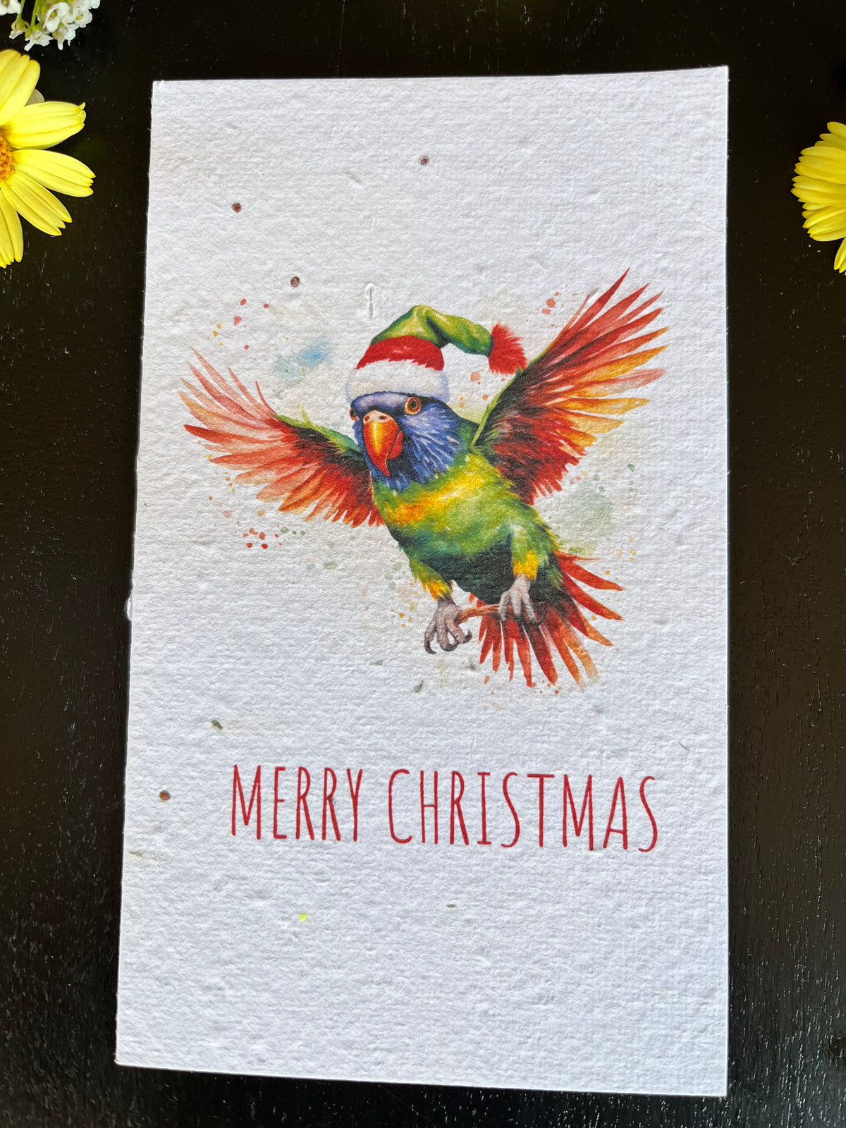 Rainbow Lorikeet Plantable Seed Paper Christmas card