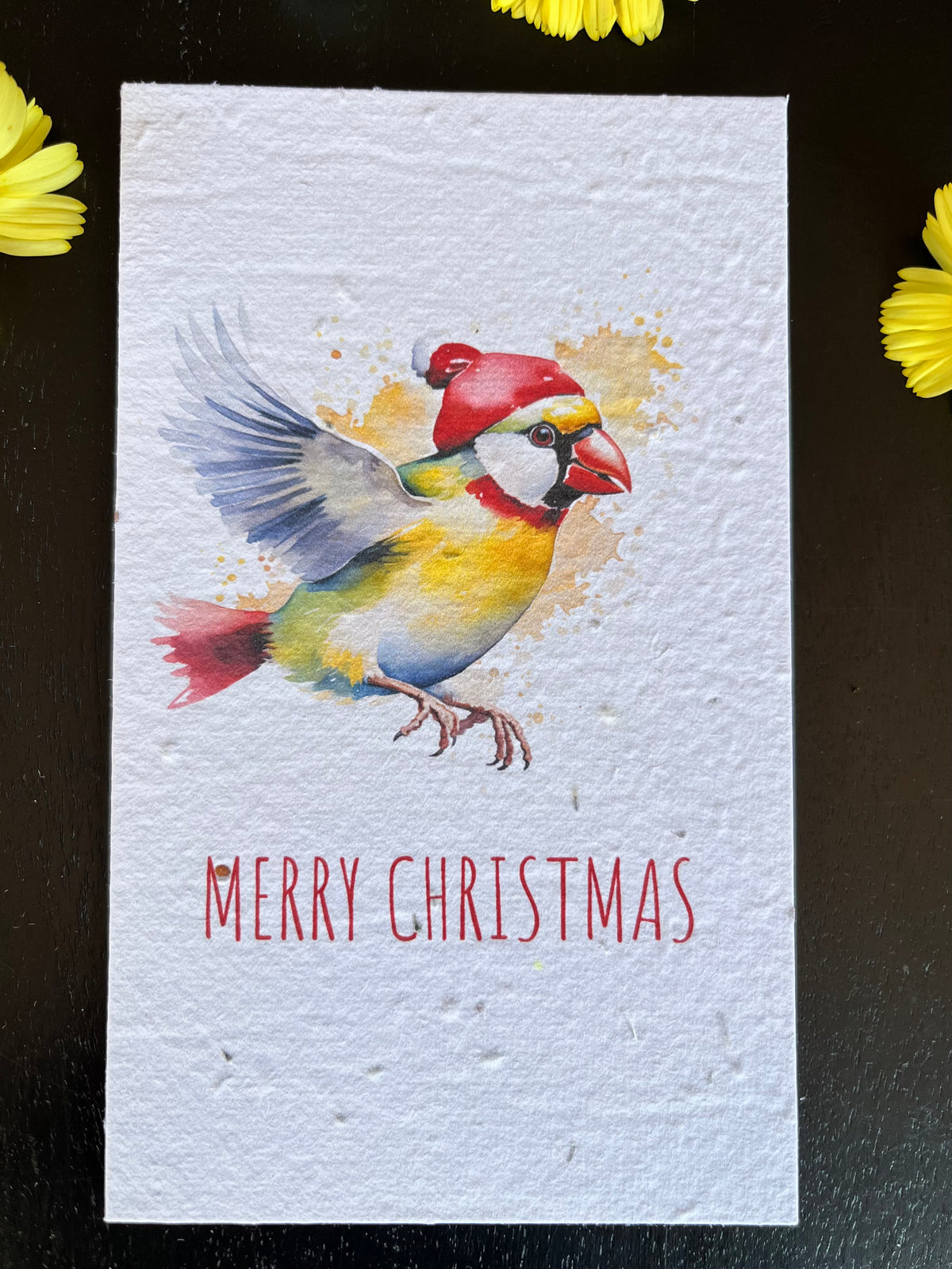 Gouldian Finch Plantable Seed Paper Christmas card