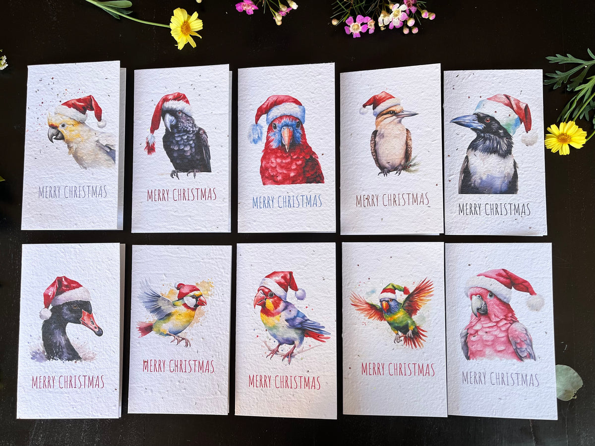 10 x Aussie Bird Plantable Seed Paper Christmas card's