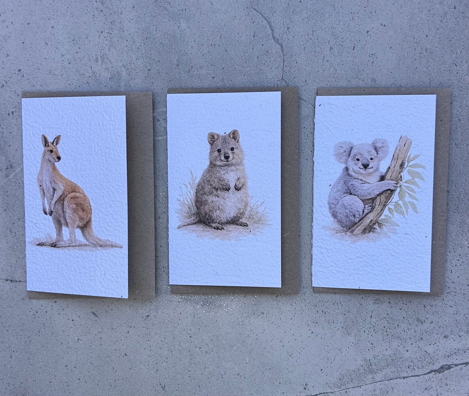 Aussie Animals All-Occasion Card Bundle (3 Pack)