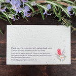Seed paper card with bottlebrush and tea tree seeds on a wooden surface.