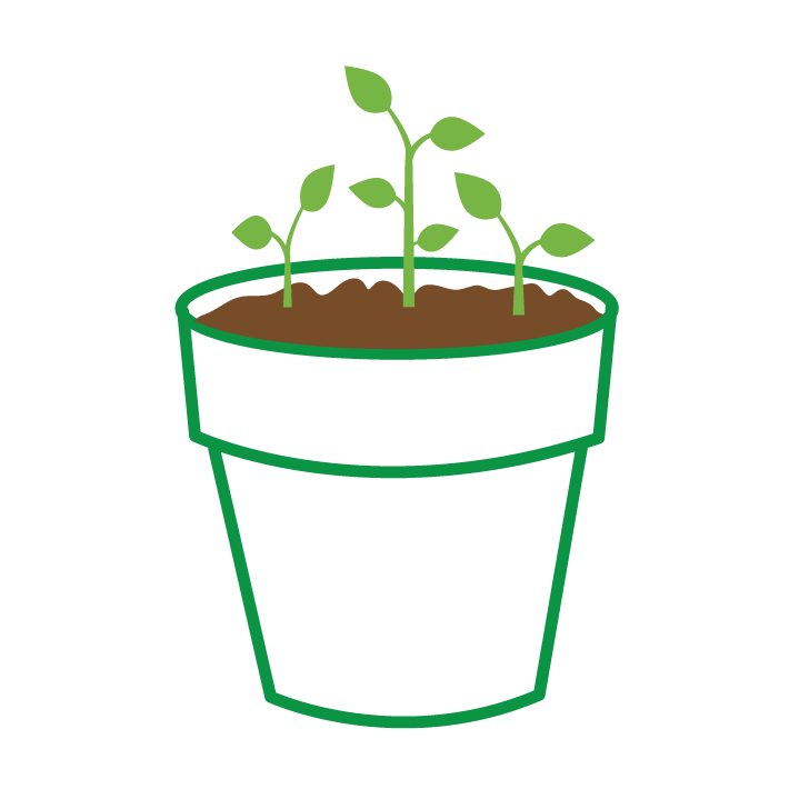 Illustration of a potted plant grown from seed paper