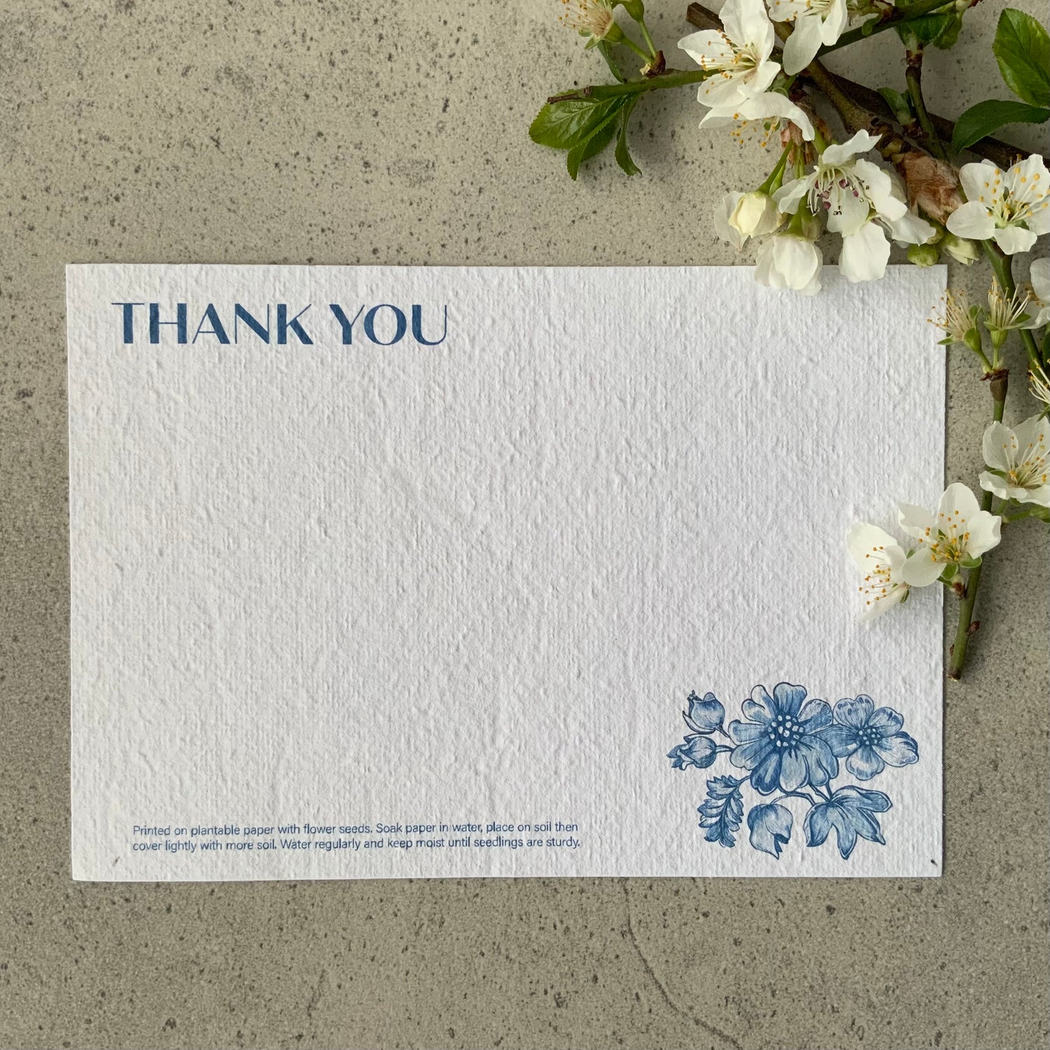 Thank you: Sapphire Floral