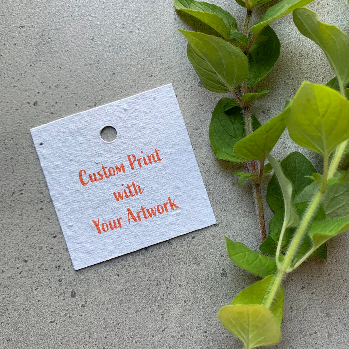 Square Swing Tag: Custom Print