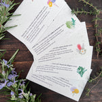Plantable seed cards with a variety of seeds embedded in paper.