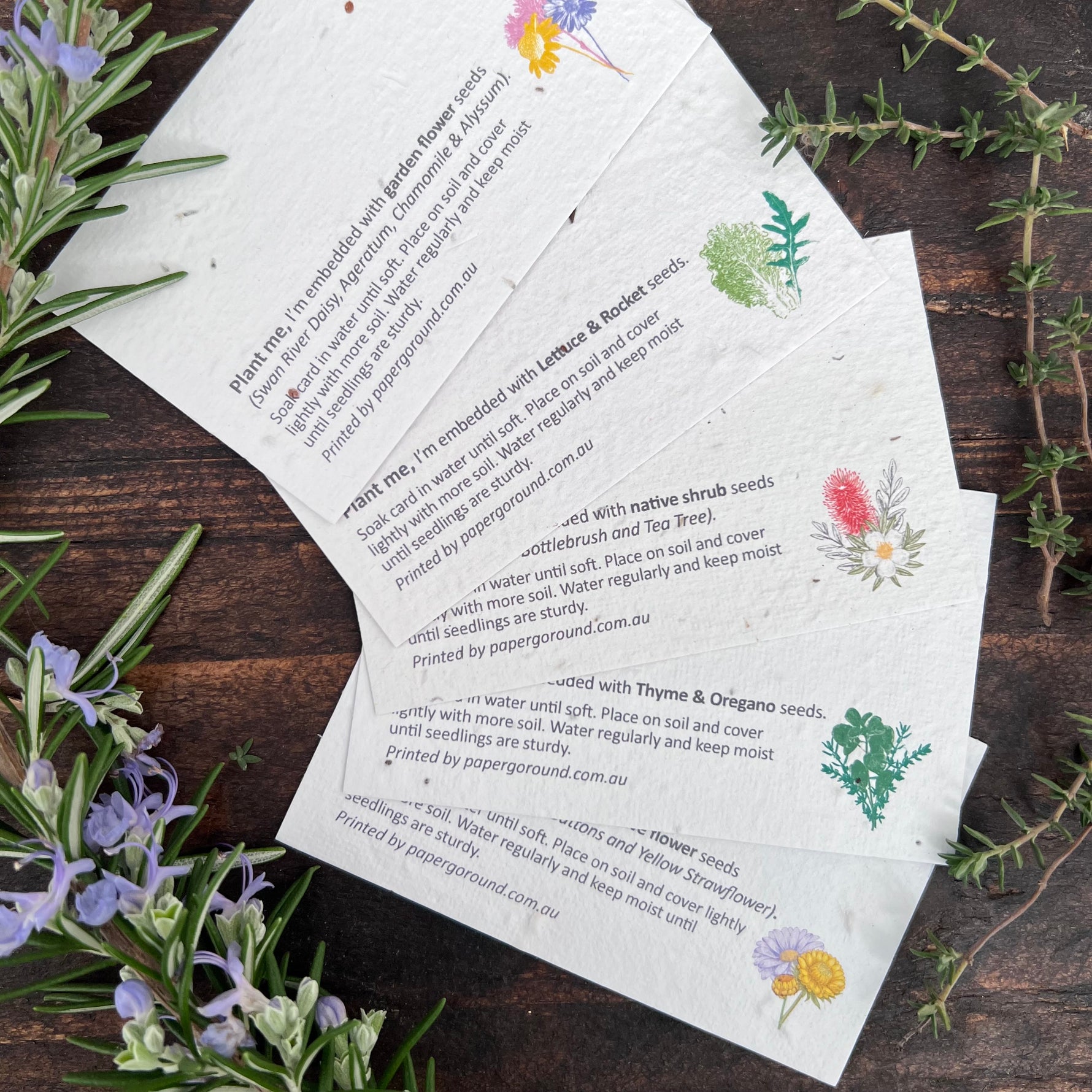 Plantable seed cards with a variety of seeds embedded in paper.
