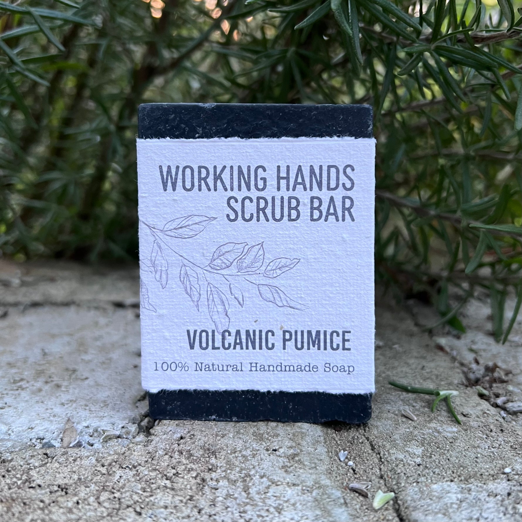 A rectangular bar of Working Hands Scrub Bar labeled 'Volcanic Pumice' stands upright outdoors on a stone surface with green foliage in the background.