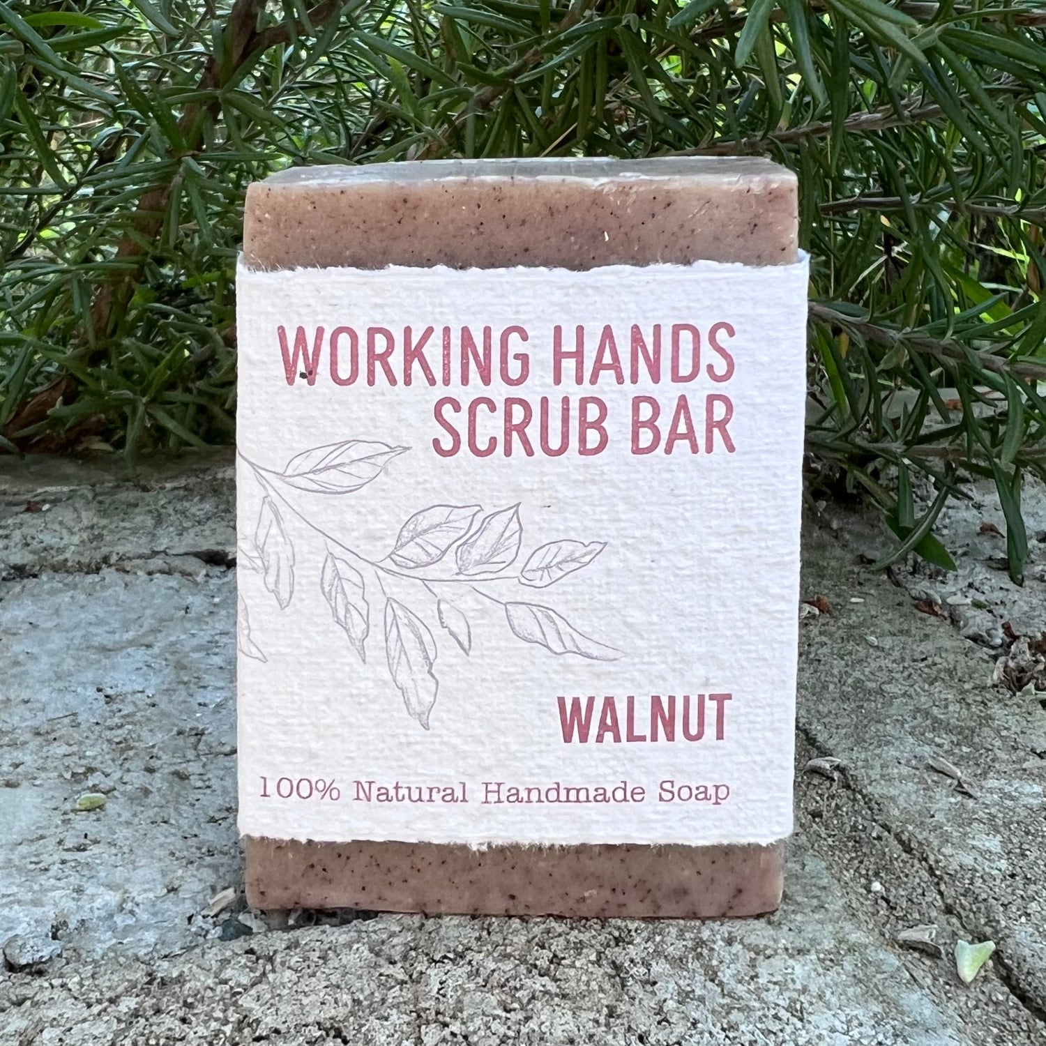 A rectangular bar of walnut hand scrub soap wrapped in a textured white paper sleeve with pink text, set against a background of green foliage and concrete.
