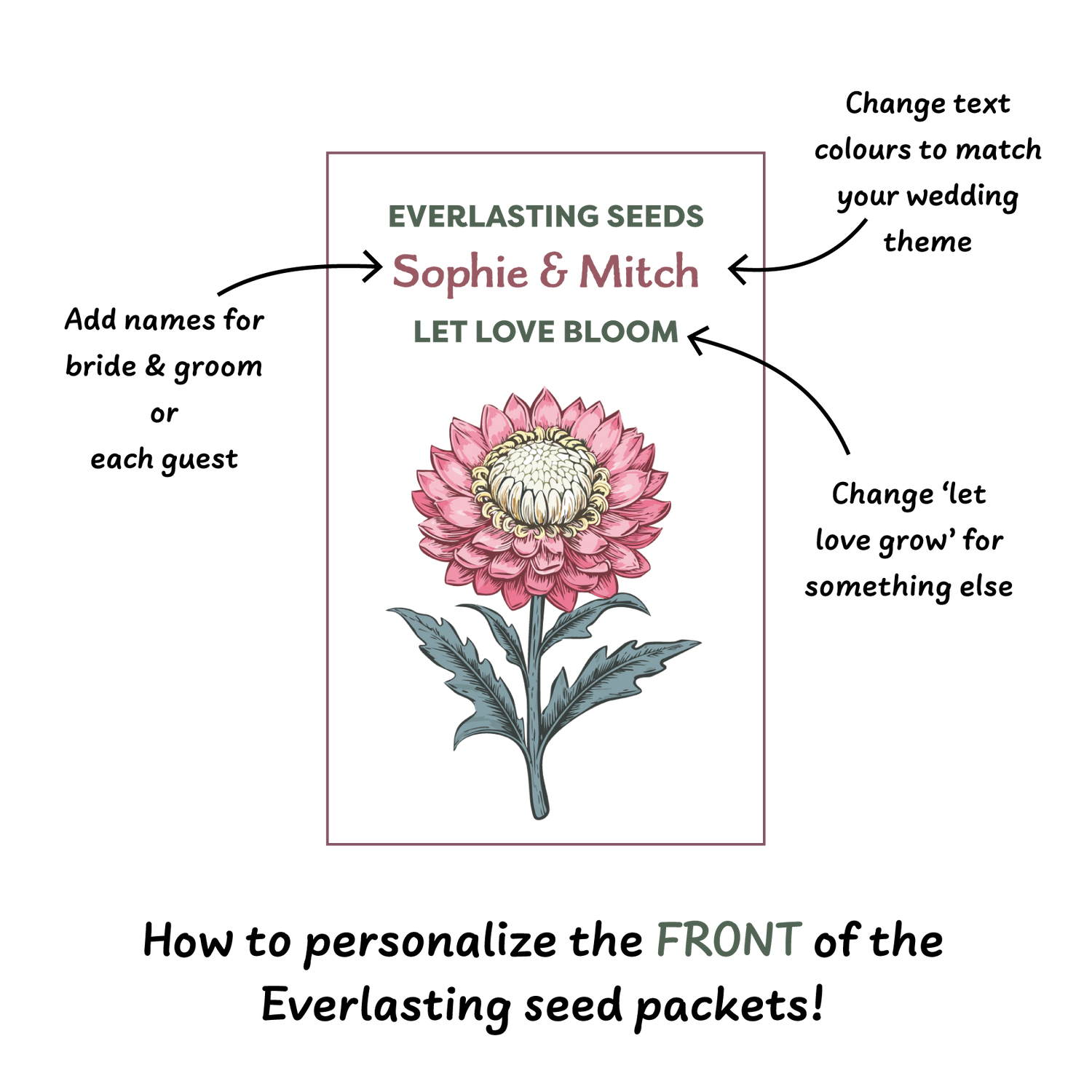 Plantable Wedding Favours with Everlasting Daisy Seeds