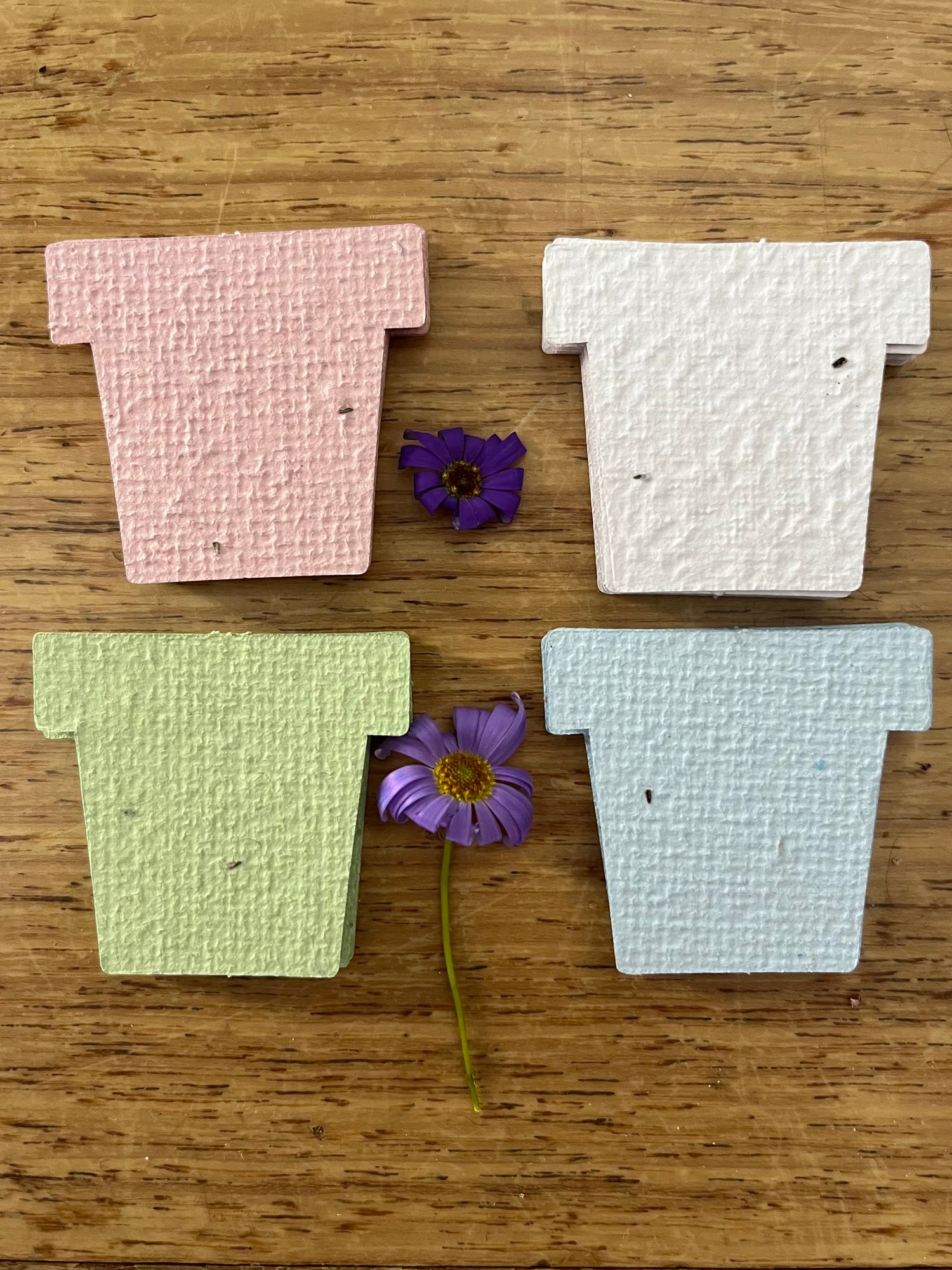 Plant Pot (small) - 30 Pack