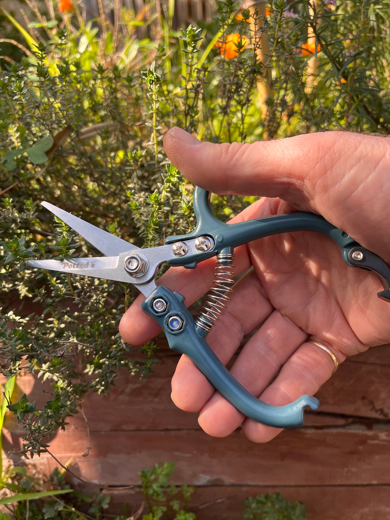 Garden Snips - Carbon Steel Blade
