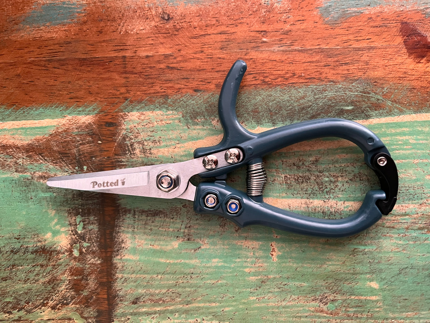 Garden Snips - Carbon Steel Blade