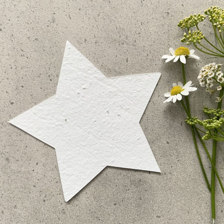 Seed Paper Stars - 10 pack