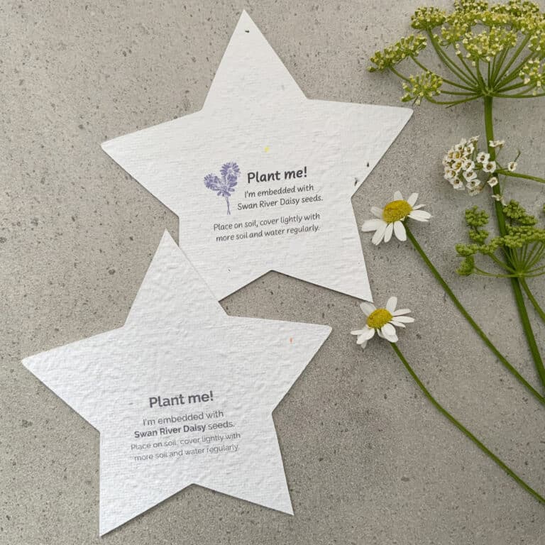 Printed Stars - 10 pack